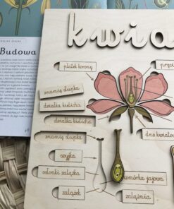 Alternative view of Układanka - Budowa kwiatu