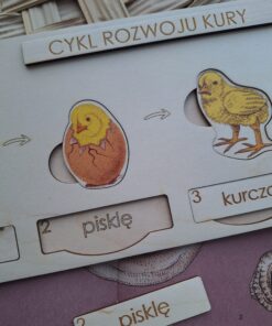 Alternative view of Cykl rozwoju kury